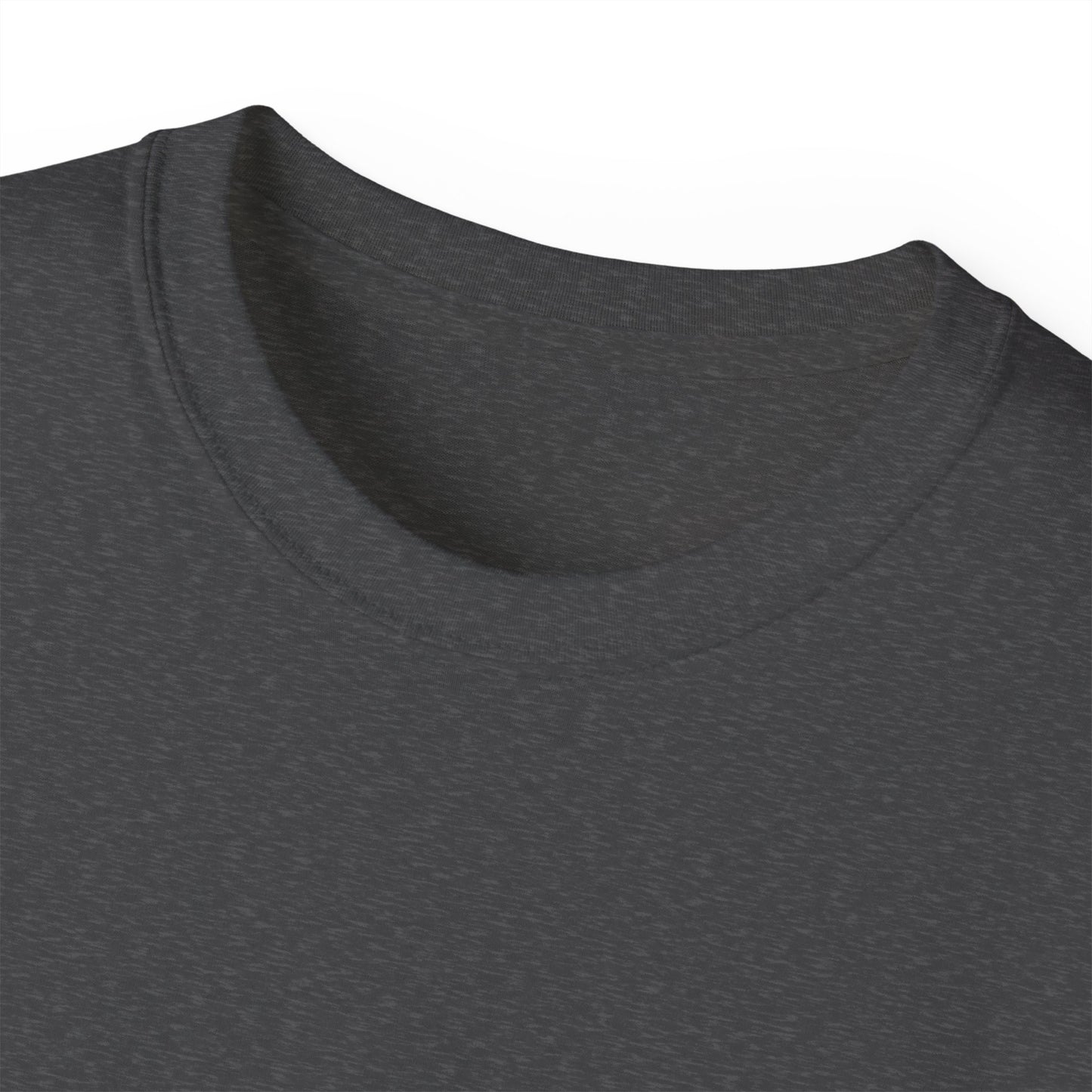 I Might Not Be Much To Look At But I F--- Like The Government T-Shirt